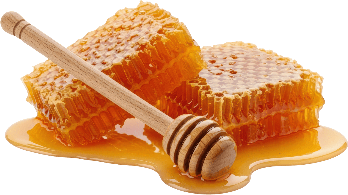 Guadalajara sabe a miel